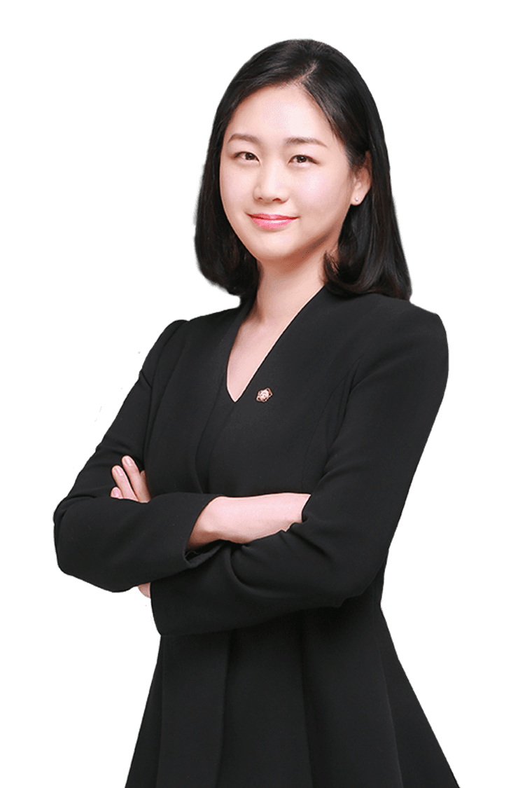 lawyer